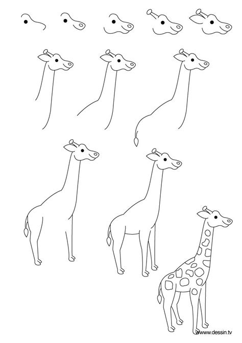 Hello, pls subscribe, like and share how to draw a zoo zoo drawing drawing animals animal drawings zoo animal. drawing giraf | Giraffen zeichnen, Zeichnen anleitung, Zeichnen für anfänger