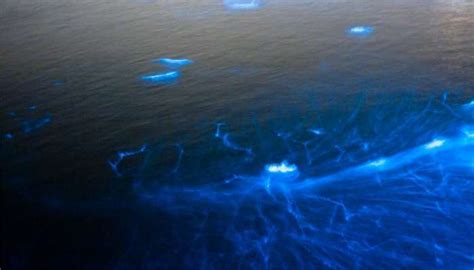 Aerial View Of The Bio Luminescence Blue Sea Jamaica
