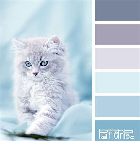 Baby Blue Color Palette Color Palette Design Color Schemes Colour