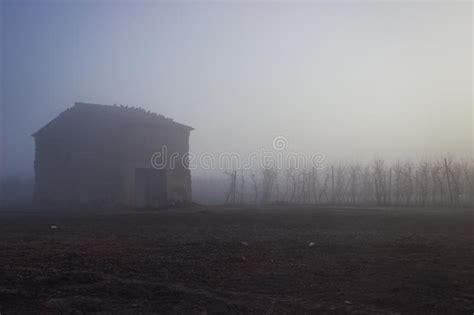 Sunrise In A Cottage With Fruit Trees A Foggy Morning Stock Photo