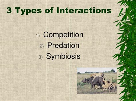 Ppt Interactions Among Organisms Powerpoint Presentation Free