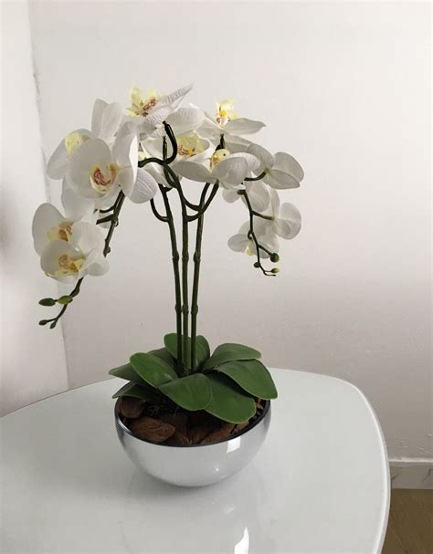 Arranjo 3 Orquídeas Vaso Vidro Florescer Decor Florescer Decor