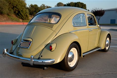 Restored 1964 Volkswagen Beetle Volkswagen Beetle Vw Beetle Classic Volkswagen