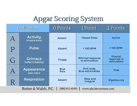 Apgar Scoring System