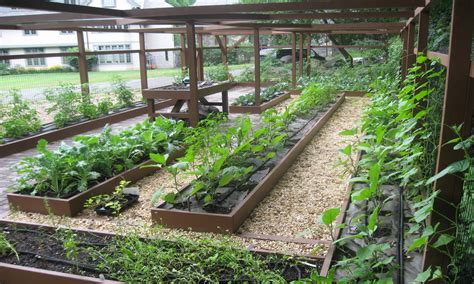 Urban Vegetable Gardening Ideas Video And Photos