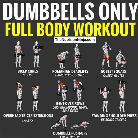 Here S A Great Full Body Dumbbell Workout You Can Do At Home Or At The Gym Workout Fullbo