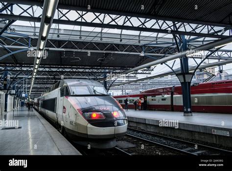 Gare Du Midi A Bruxelles Trains Tgv Inoui Train Station South Station