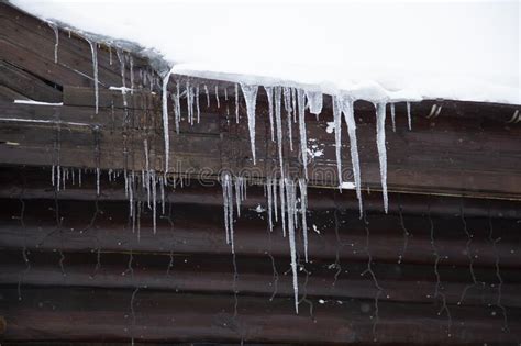 Icicles Hang On The Roof Winter Landscape Stock Image Image Of