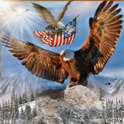 Eagle Freedom Gif