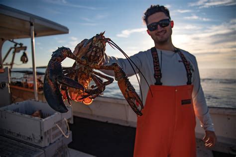Consider The Lobsterman A Day In The Life Of A Maine Lobsterman