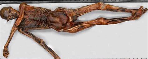 U S Paleoartist Presents Ötzi Mummy Replica at Bolzano Museum