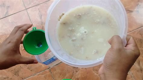 Cara membuat lontong kacau rice cooker magic com anti ribet. Cara Membuat MOL dari Nasi Sisa Untuk Penyubur Tanaman - YouTube