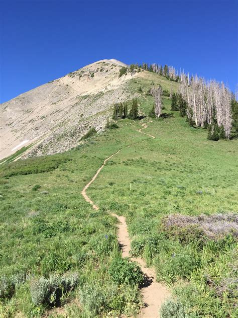 False Summit Mt Nebo Utah Usa Rhiking