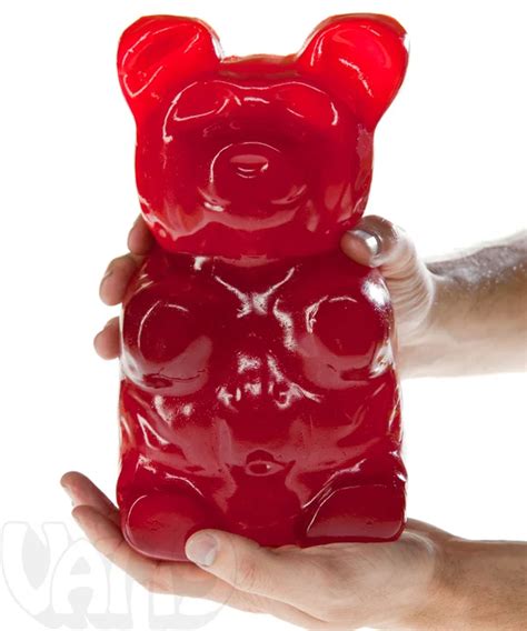 The Giant 5 Pound Gummy Bear