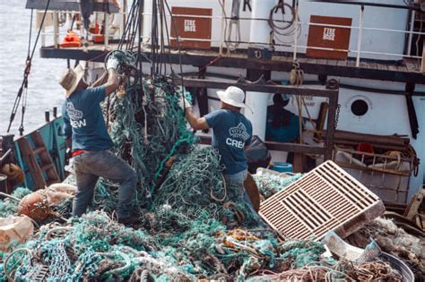 Ocean Voyages Institute Recovers Nearly 100 Tons Of Plastic Waste