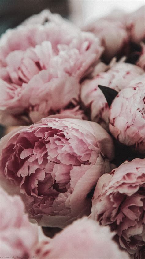 Murwall nursery floral wallpaper kids floral wall mural flower pattern wall paper pink blossom wall print for girls bedroom childroom kindergarten livingroom. обои обоинателефон обоидлятелефона цветы flowers пионы ...