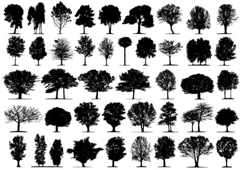 Trees Silhouette Vector