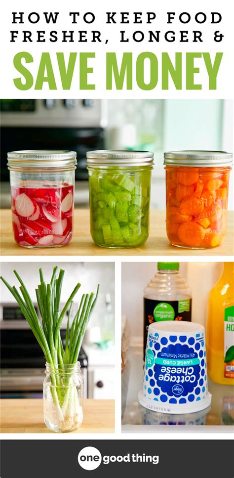 36 Easy Tips That Will Keep Your Food Fresh And Save You Money In 2020