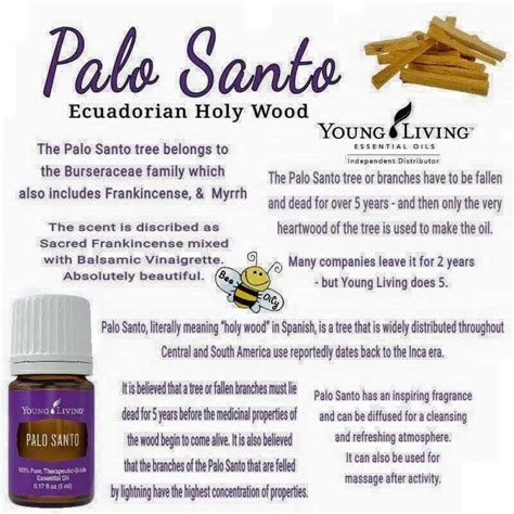 Palo santo essential oil has an earthy, woodsy, warm aroma that can be diffused for a cleansing and refreshing atmosphere. Palo Santo, I love this oil! | Essential oil diffuser ...