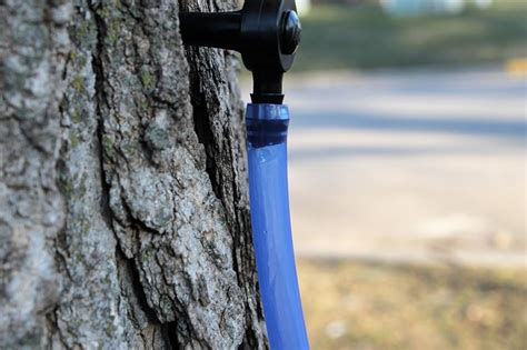 Maple Syrup Tree Tapping Kit Pack Of 10 Includes Tree Saver Taps