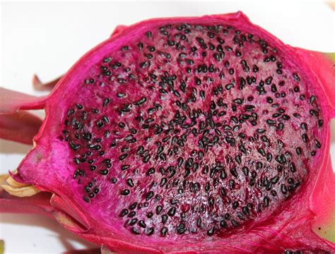 Tickety Boo Health Coaching New Food Of The Week Dragon Fruit