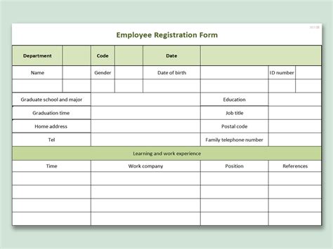 Excel Registration Template