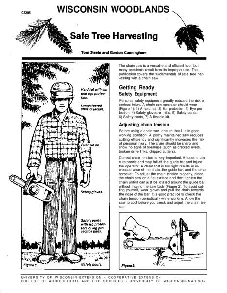 Safe Tree Harvesting Uw Madison Extension Forestry