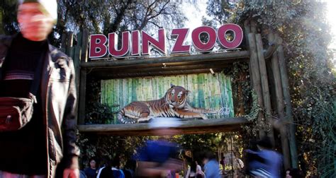 Chile santiago buin zoo 남미에만 살고있는 동물이 있다!? Carabinero frustró robo a boleterías del Buin Zoo: hubo ...