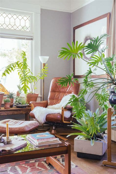 Easy Houseplants Indoor Trees Philodendron Leaf Living Room