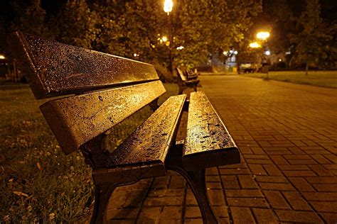 Hd Wallpaper Brown Wooden Bench On Pavements Park Square Night