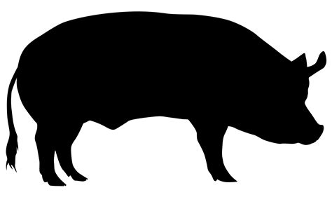 Domestic Pig Cattle Sheep Silhouette Pig Png Download 24801472