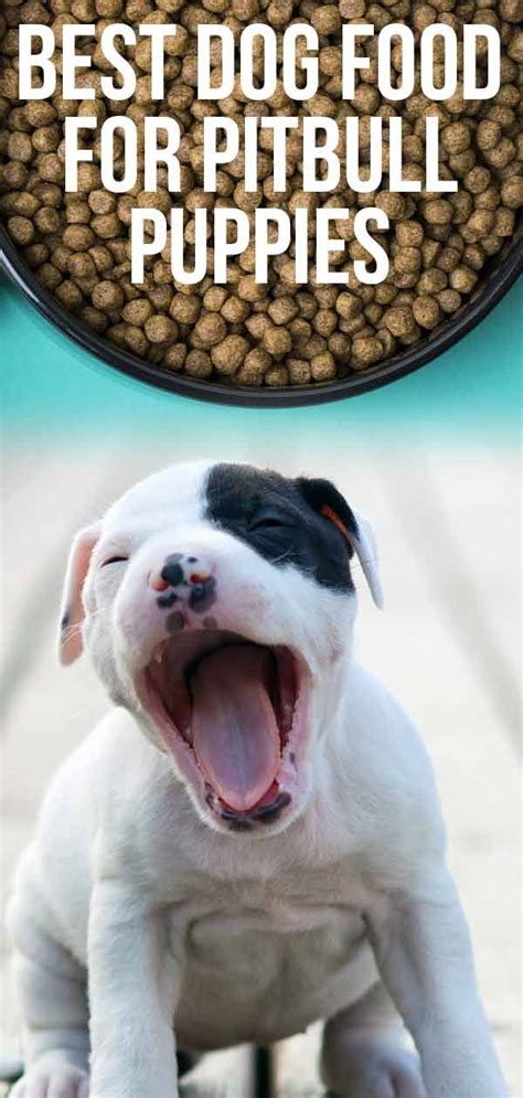 The options from petplate are tailored to your pup's breed, size, age, and activity level and come in for meat sources: Best Dog Food For Pitbull Puppies - The Healthiest Choices ...