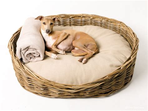 Oval Greywash Wicker Dog Bed And Reversible Mattress Set — Charley Chau