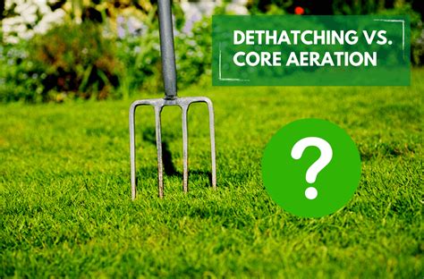 Also, for visual queues look to see if your lawn is looking thin, or not responding to fertilizer treatments. Dethatching vs. Core Aeration | ExperiGreen