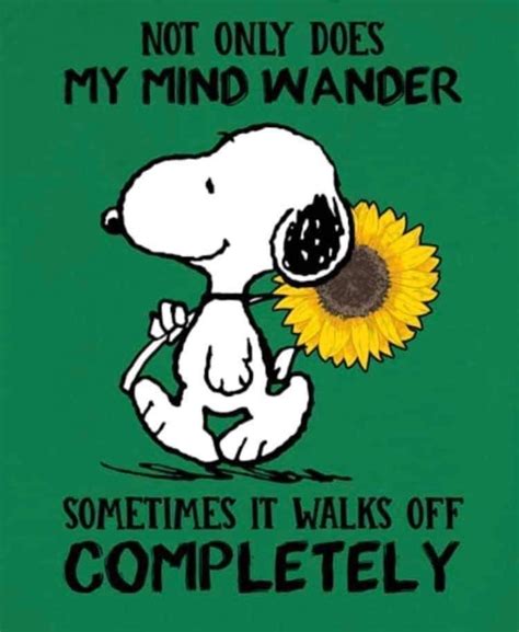Pin By Darla Mezei On Snoopy And The Peanuts Gang Snoopy Quotes Snoopy