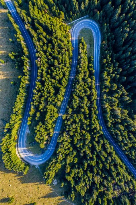Aerial View Of Green Pine Forest And A Road Stock Photo Image Of Park