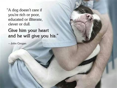 A Dog Doesnt Care If Youre Rich Or Poor Educated Or Illiterate