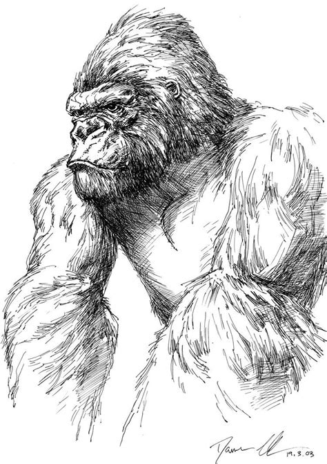 How To Draw A King Kong Nekole Blog