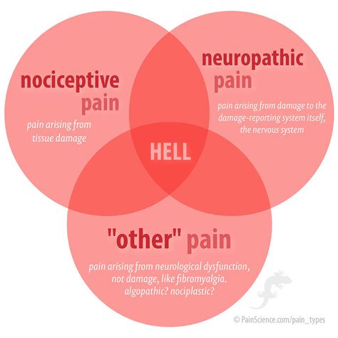 The 3 Pain Types Nociceptive Neuropathic And Other