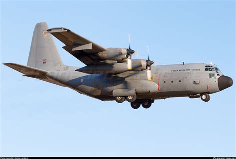 16805 Portuguese Air Force Lockheed C 130h Hercules L 382 Photo By