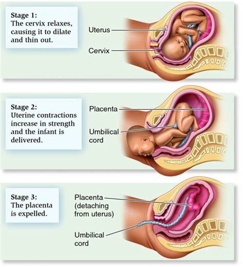Dah lebih 10 hari 'period' ni tapi masih 'heavy flow' macam hari pertama dan kedua. Kedudukan bayi dalam kandungan - 7 cara meneka kedudukan ...