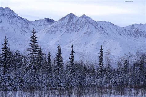 Travel Guide To Fairbanks Alaska The 12 Best Things To Do In