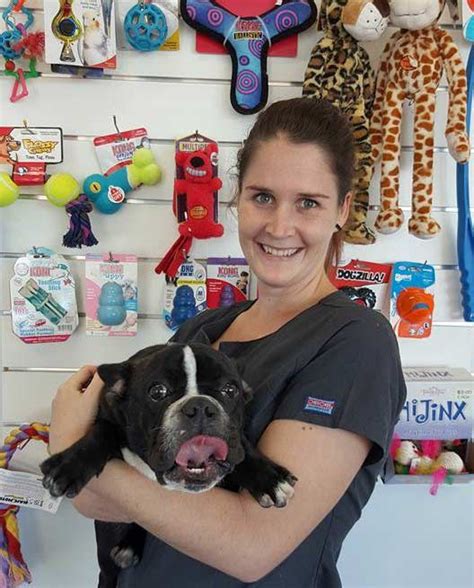At family pet practice we make sure that pets, and their owners, feel comfortable during their veterinarian visits. Ipswich Family Veterinary Clinic - Vets & Veterinary ...