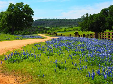 Texas Hill Country Backroads Deliver The Sights