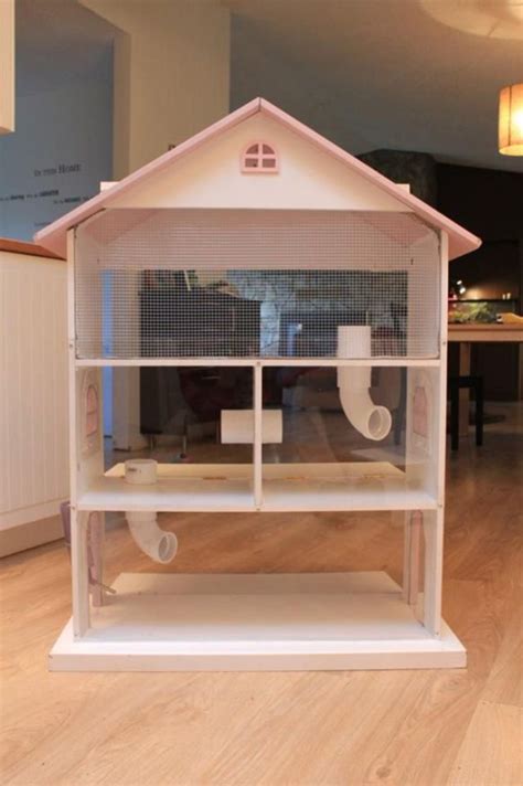 09diy Hamster House Diy Hamster House Hamster Diy Cage Hamster Life