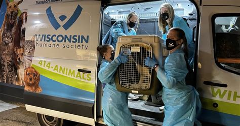 Wisconsin Humane Society Welcomes 92 Dogs Rescued From Iowa Puppy Mill