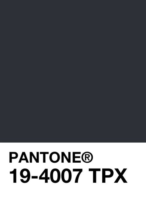 Pantone 19 4007 TPX