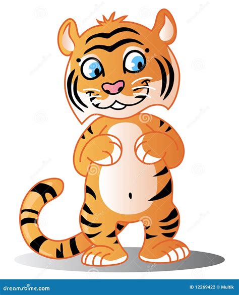 Tiger Cub Stock Vector Illustration Of Feline Orange 12269422