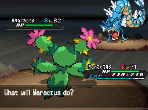 Pokémon black 2 and white 2 walkthrough, post-game: wellspring cave