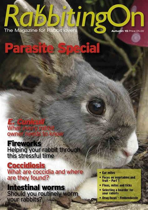 2015 All 4 Issues Of Rabbiting On Special Offer Rabbit Welfare Shop
